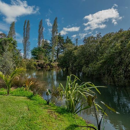 On The Point Apartment Whitianga Bagian luar foto