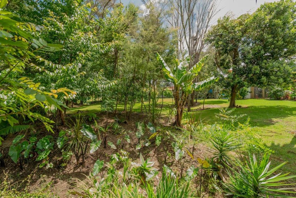 On The Point Apartment Whitianga Bagian luar foto